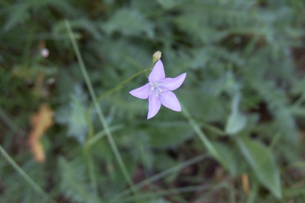 Photograph by Алия Байсыкова