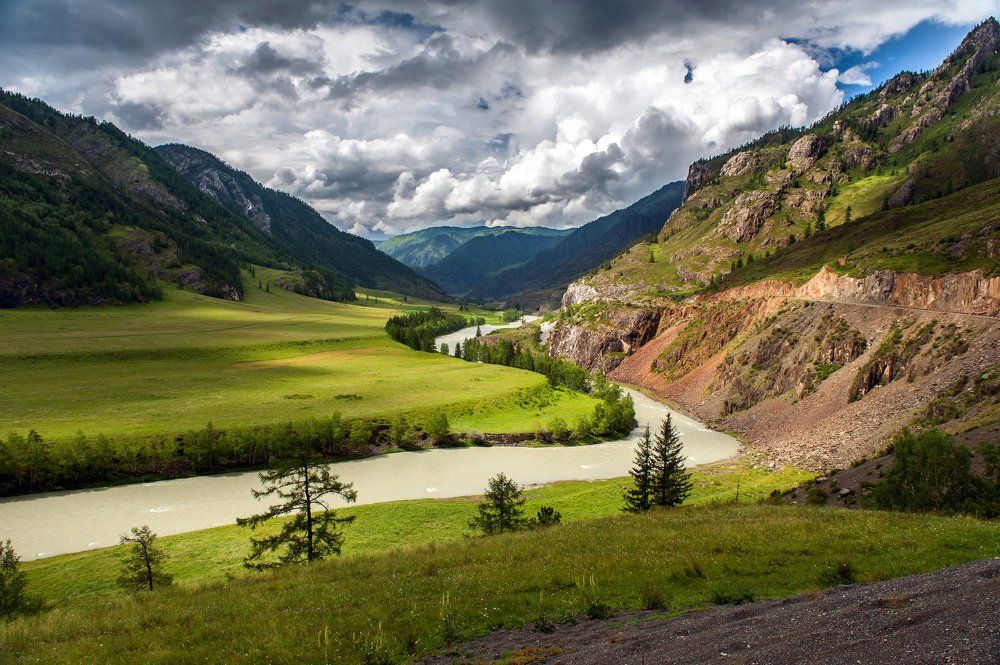 Как Чуя греется на Солнышке