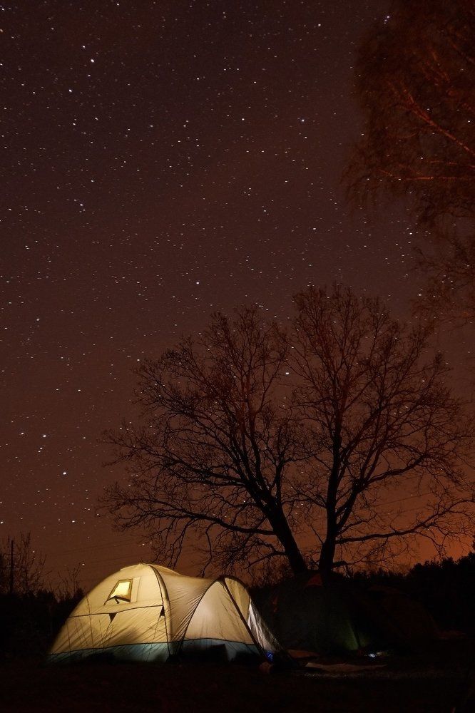 Видели ночь