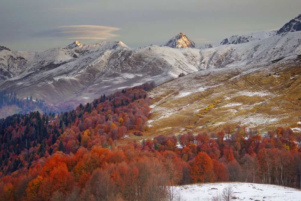 Осень багряная