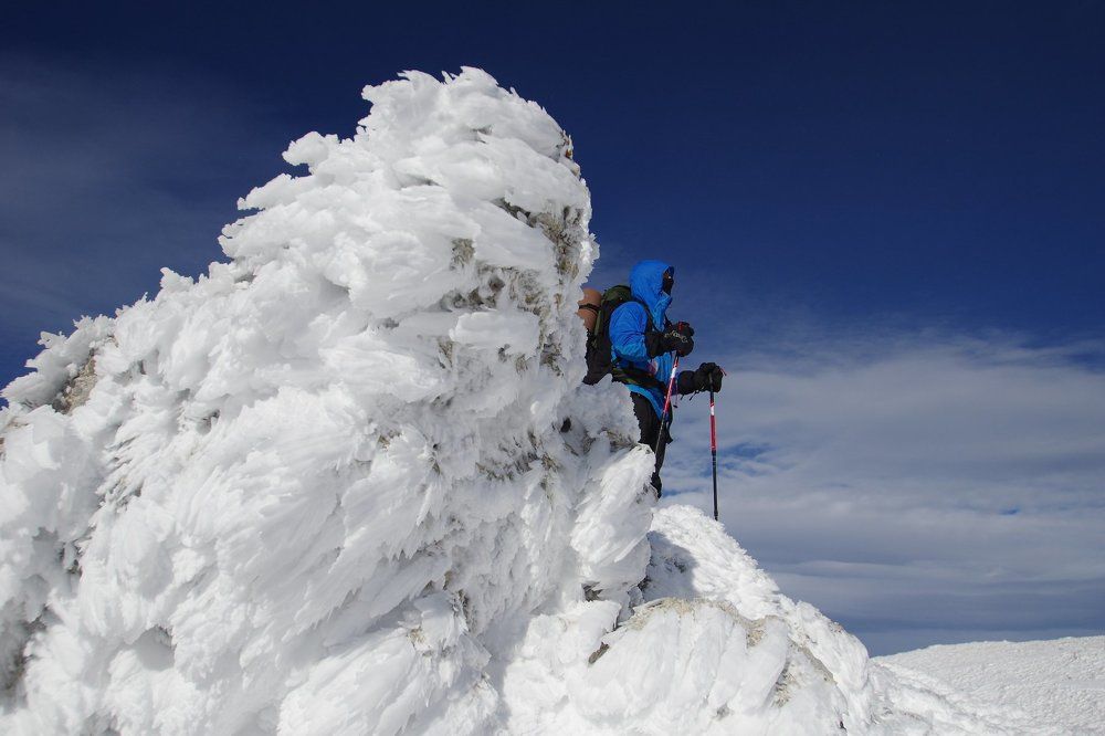 Кальгаспоры  - ледяные крылья