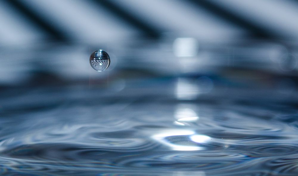 Photograph by Виктория Поздеева