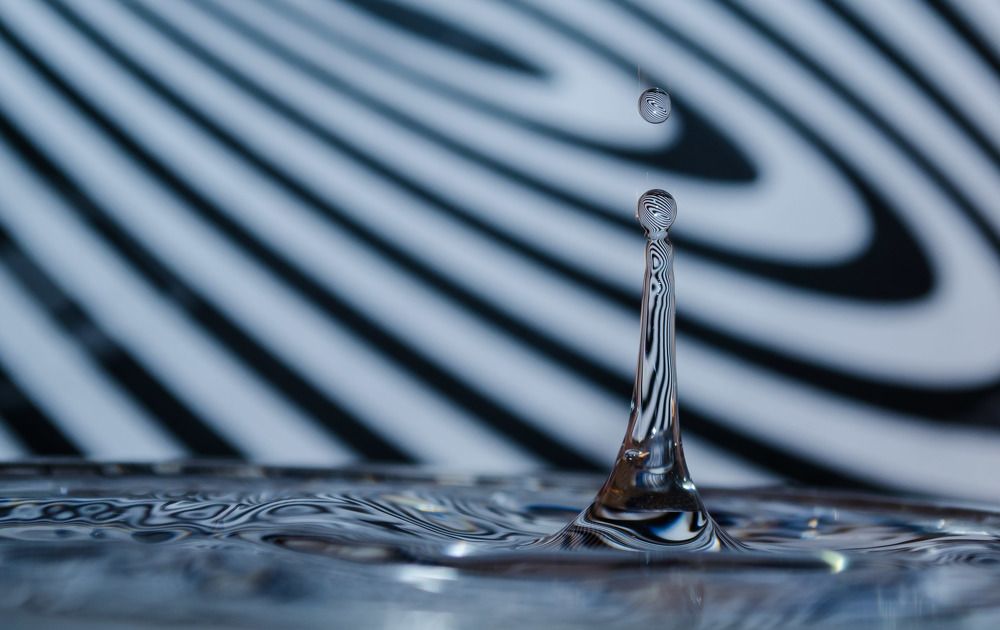 Photograph by Виктория Поздеева