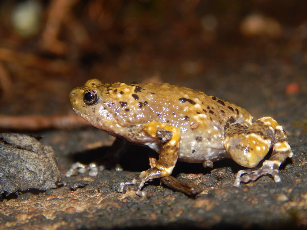 Photograph by Saurabh Swami