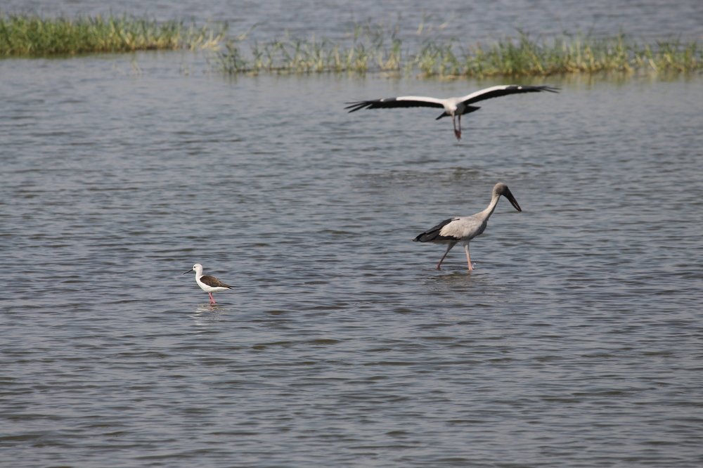 Photograph by Saurabh Swami