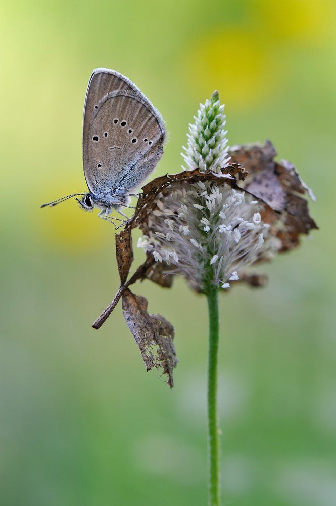 Торжество жизни.