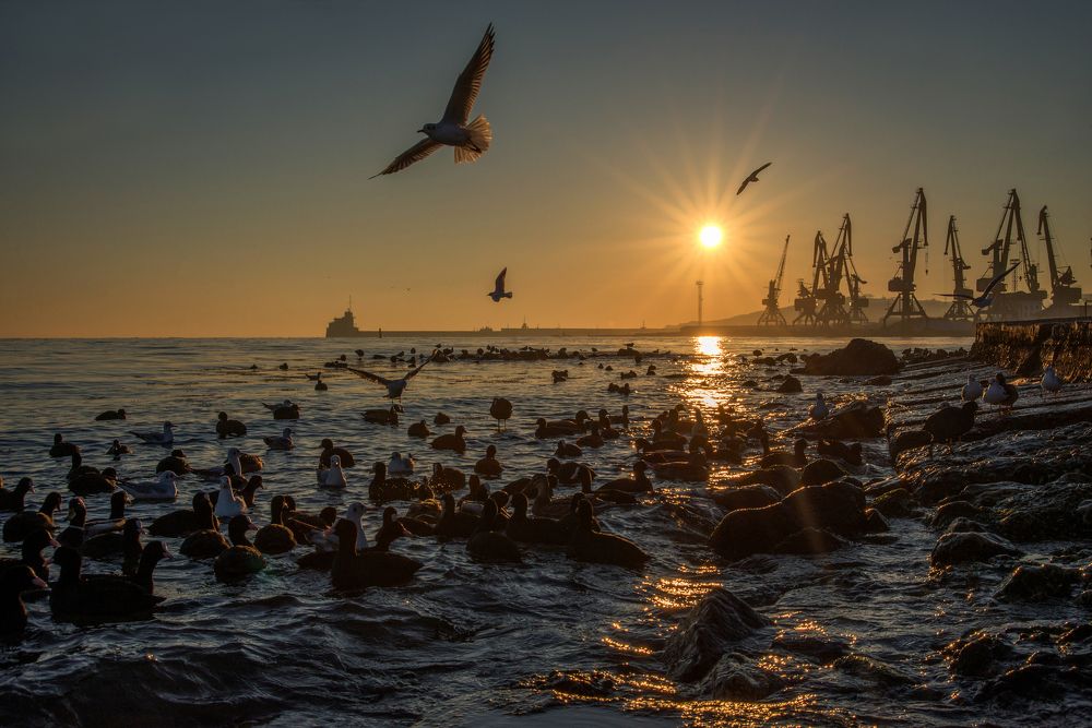 Зимнее утро в приморском городке