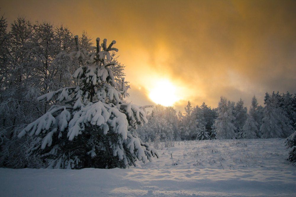 Зимний закат