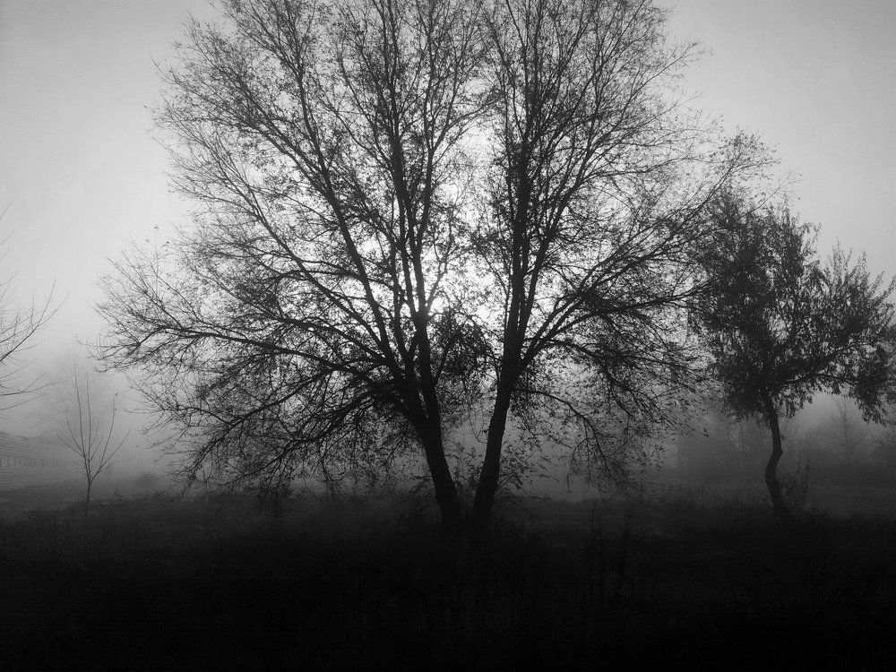 Утро туманное...