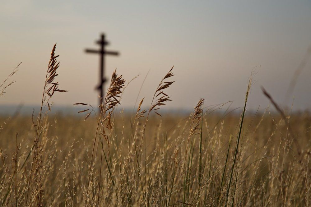 Photograph by Сергей Фатеев