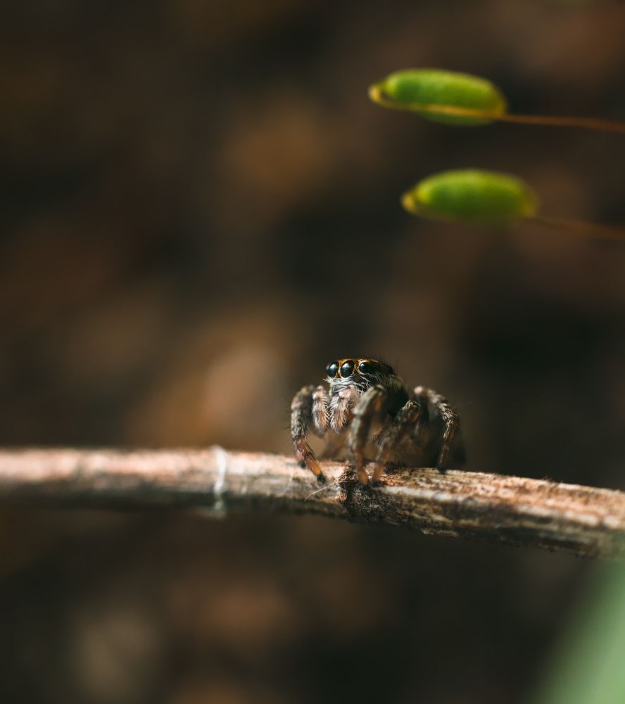 Photograph by Дмитрий