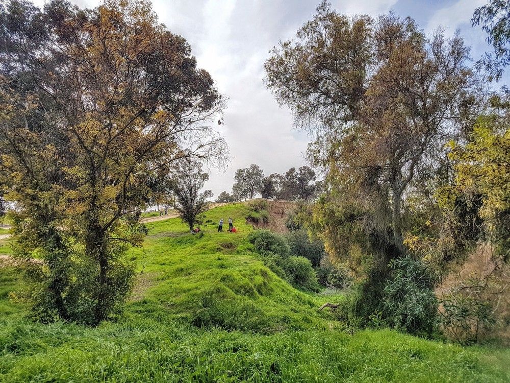 Февральским днём в пустыне Негев...