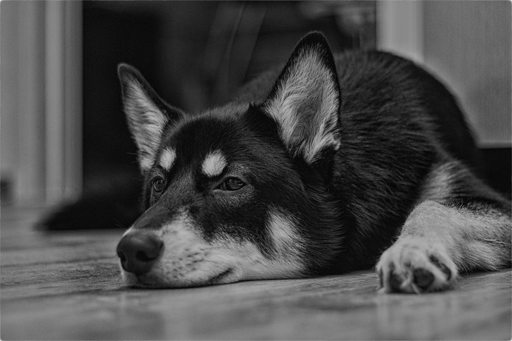 Photograph by Денис Швыдкий