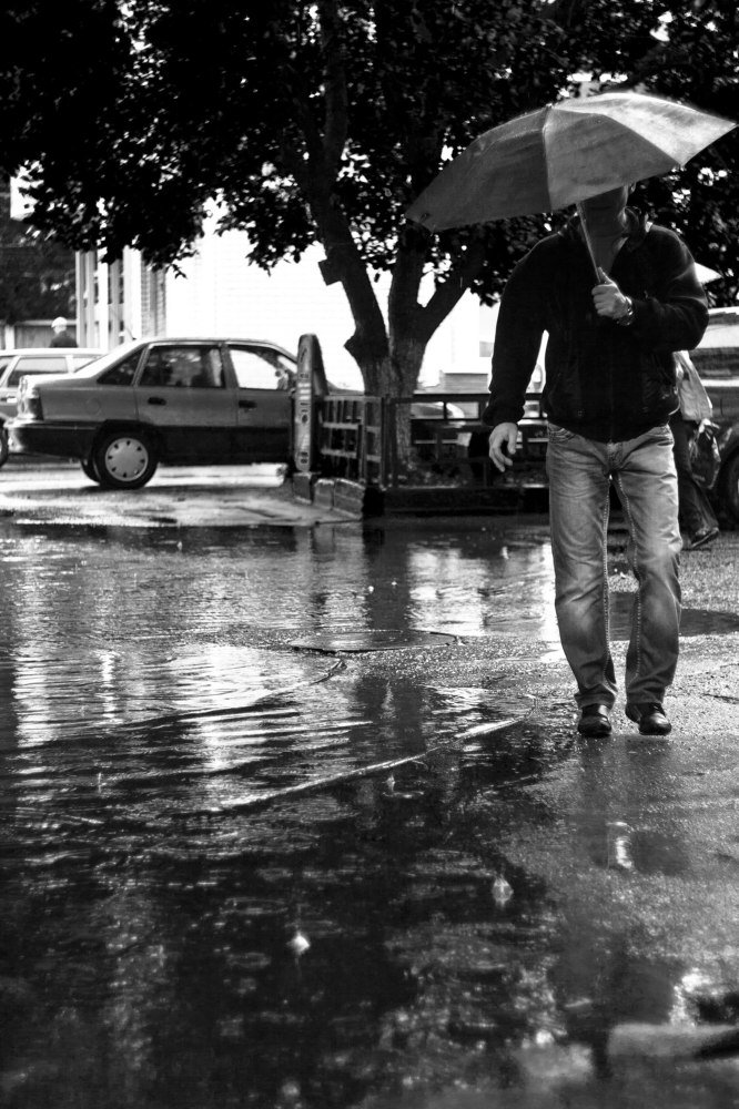 Мокрое лето