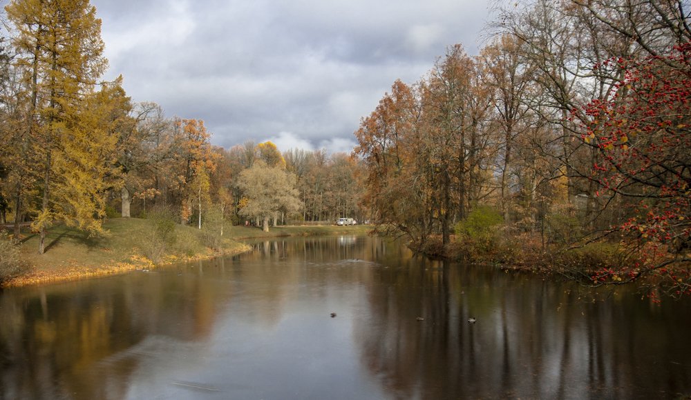 Краски осени