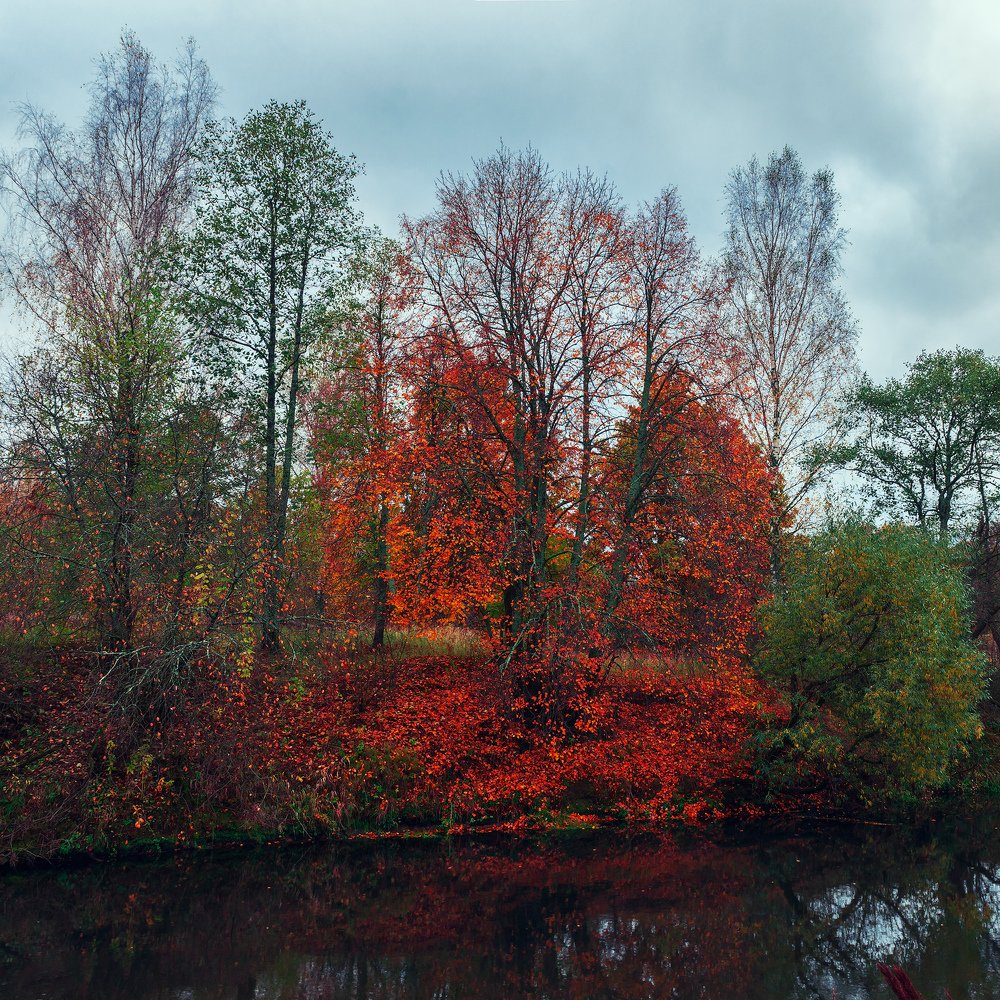 однажды осенью...