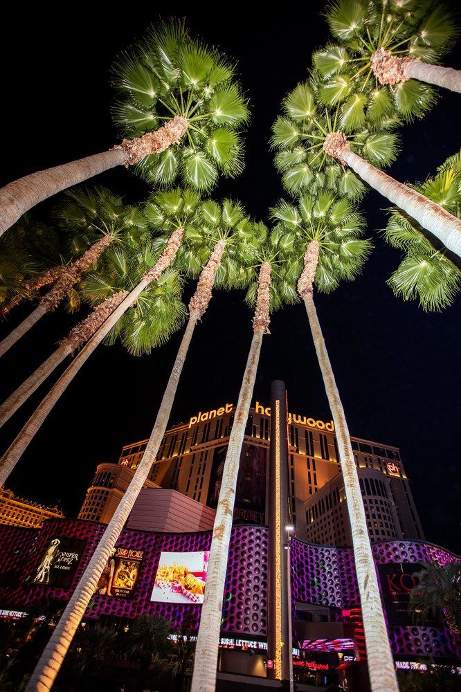 Планета Голливуд