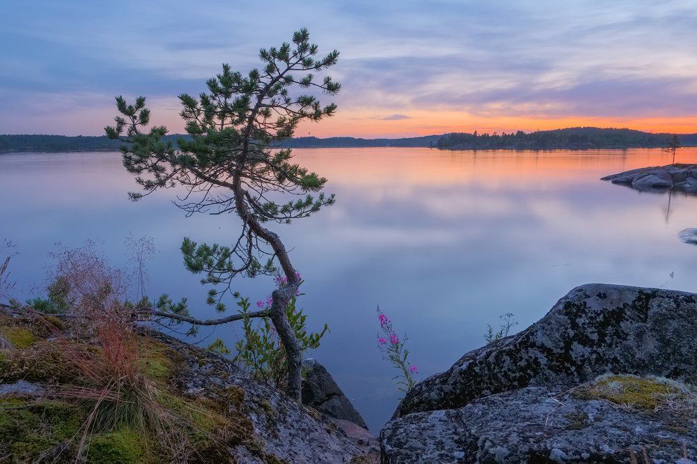 Вечер на ладожском берегу