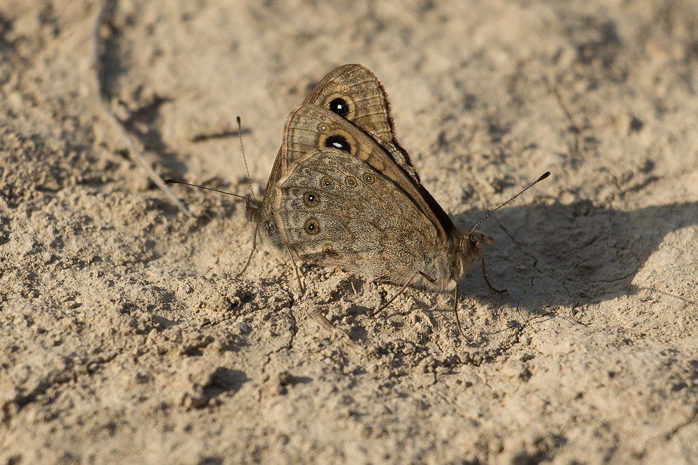 Photograph by Станислава Войцеховская