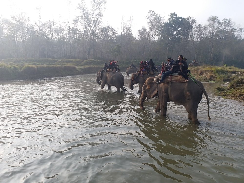 Elephant Safari at Chitwan, Nepal