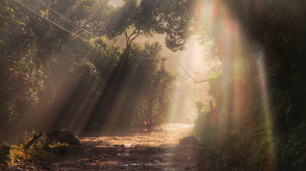 sunray