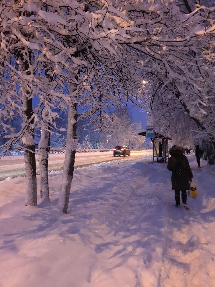 Снежный день