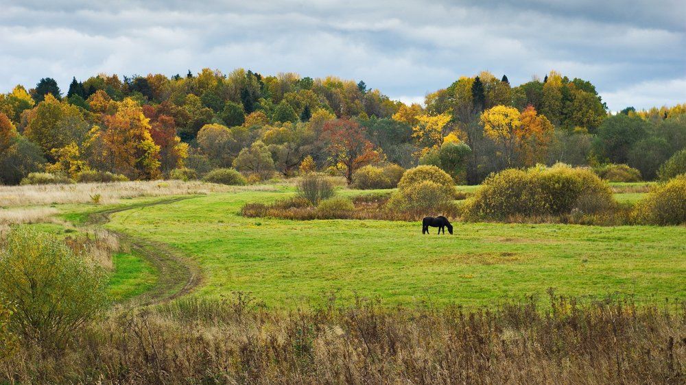 Краски осени (Colors of autumn)