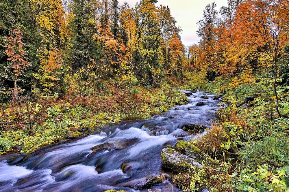 Осень пришла