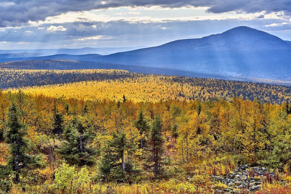Солнечный заяц у осеннего Койпа