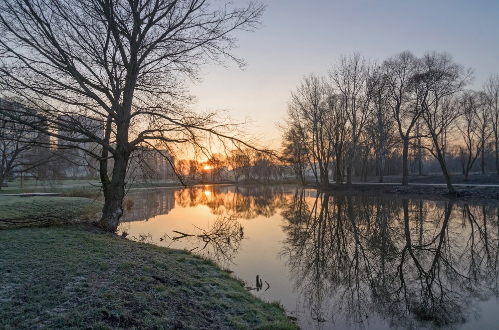 Прозрачный ноябрь