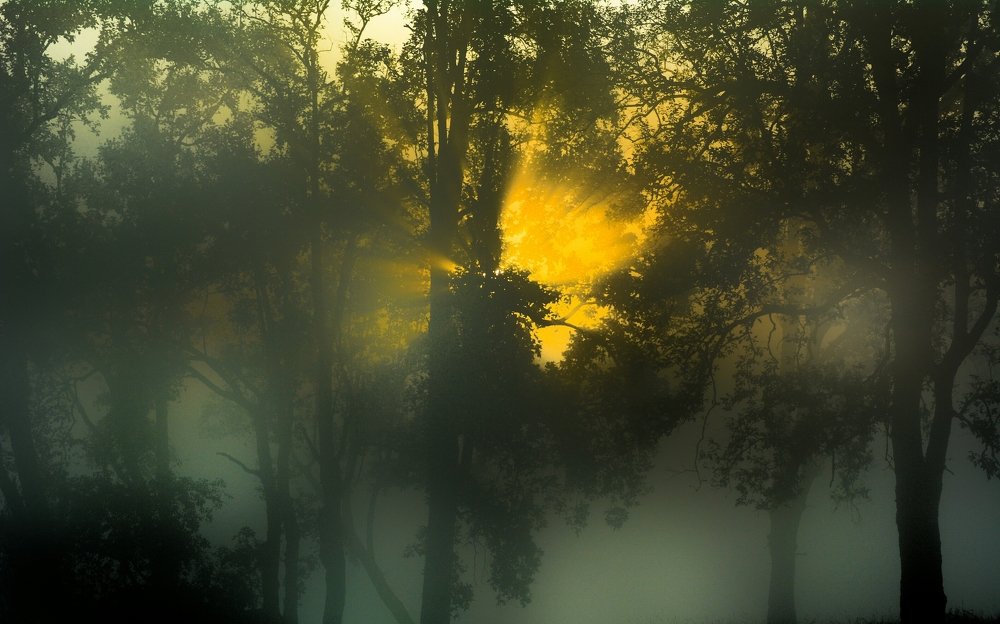 When I break the Jinx.