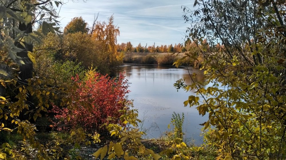 Старый пруд