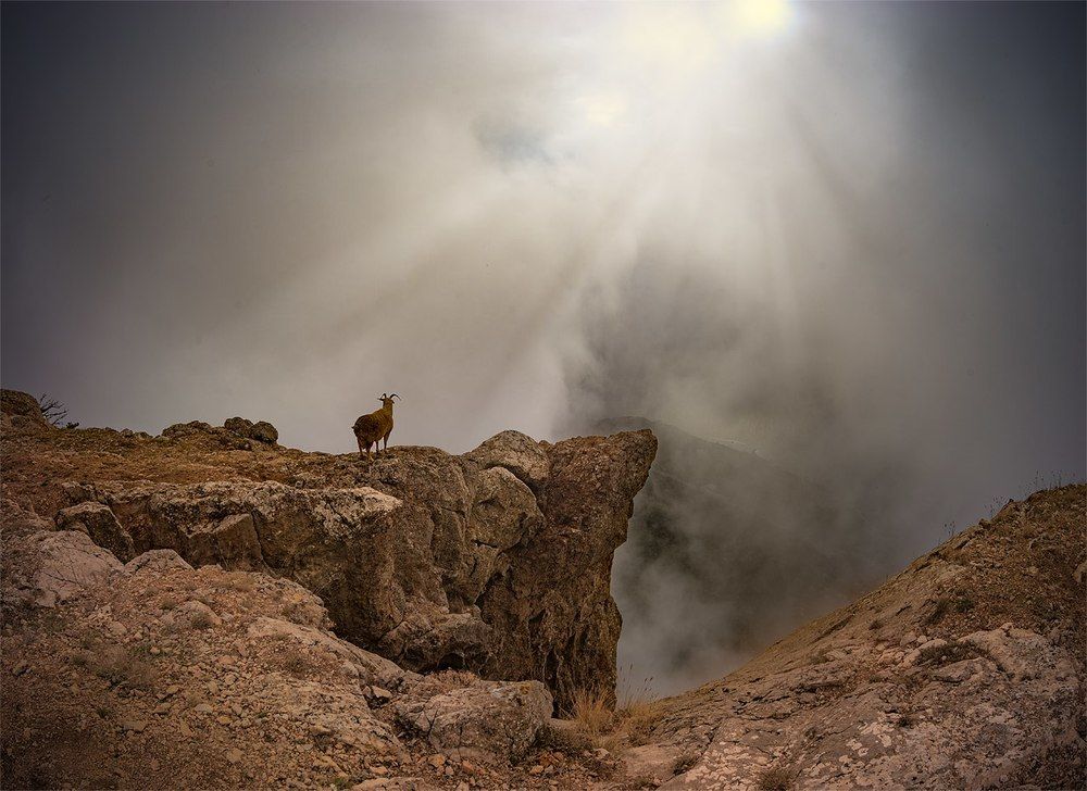 "Просветление"