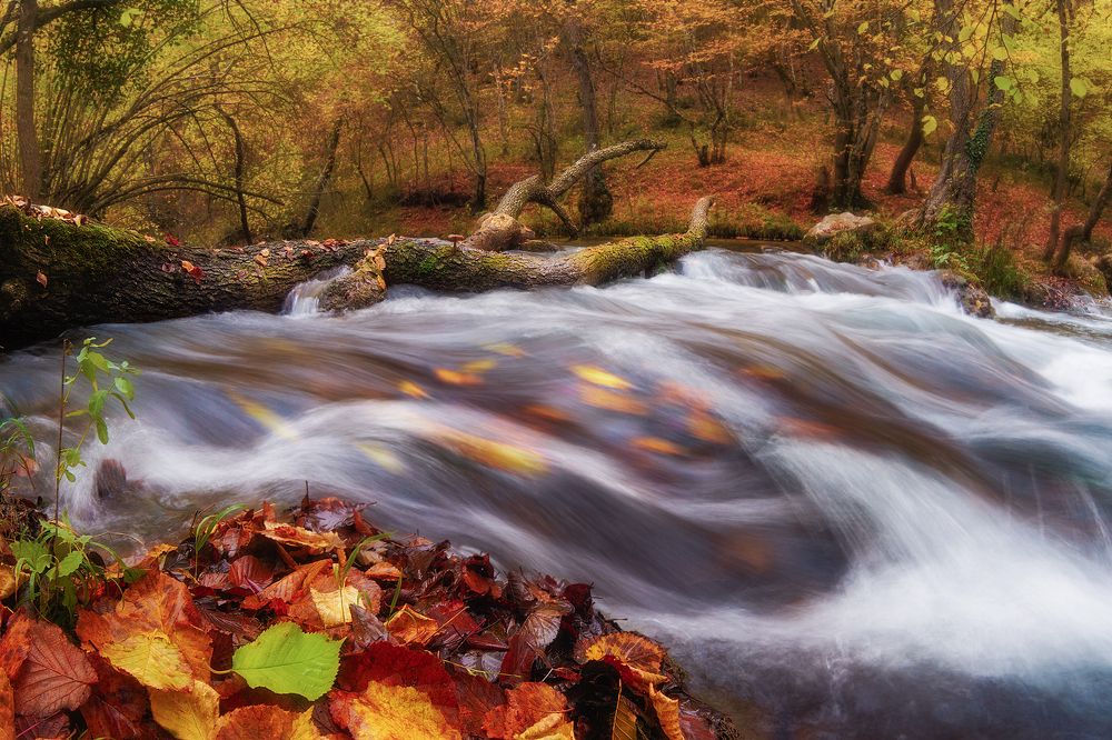 "Ускользающая осень"