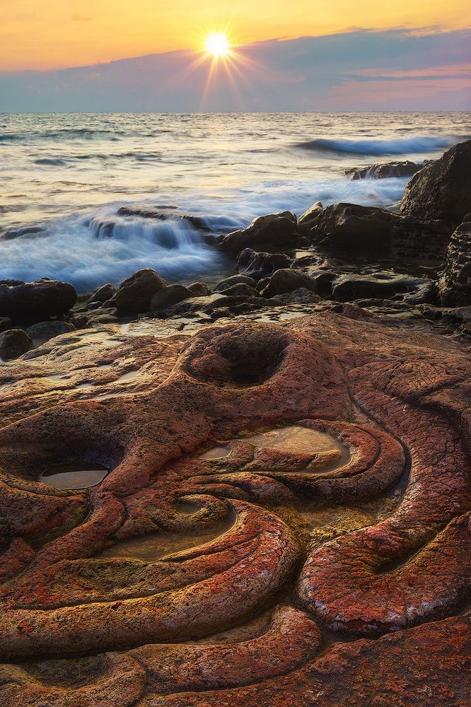 "Солнце и осьминог"