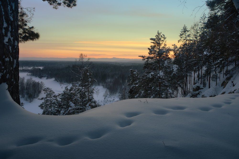 Где рысь гуляла сама по себе...