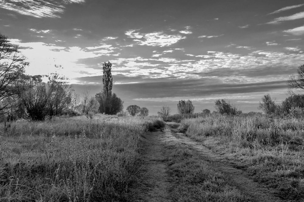 По дороге к рассвету