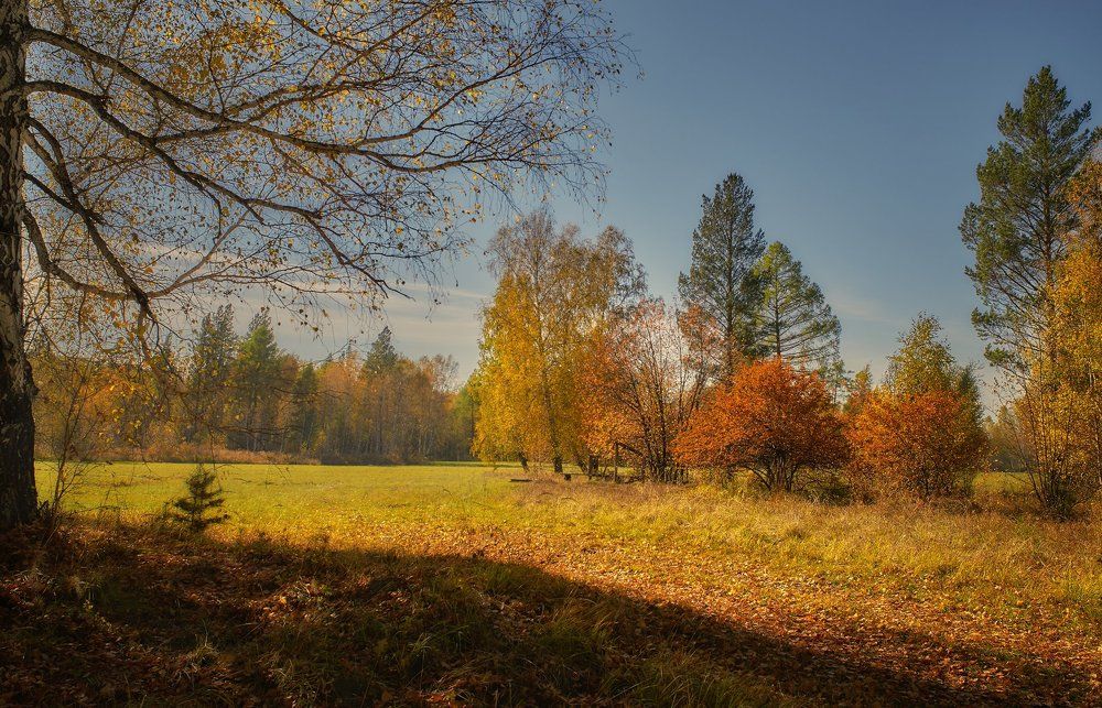осеннее настроение...