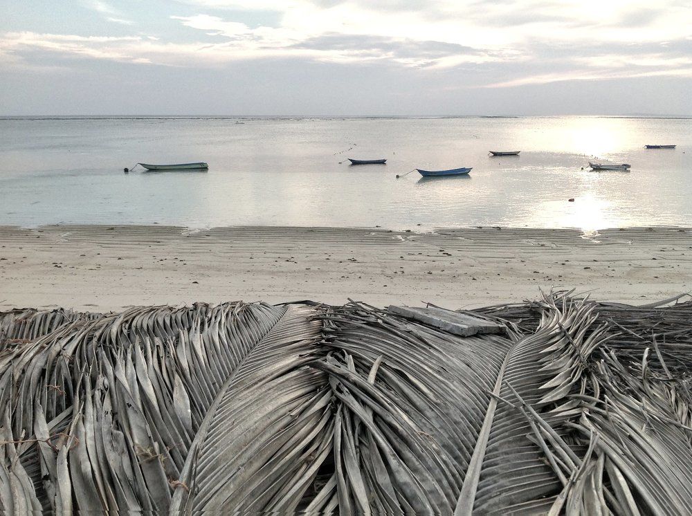 Island life