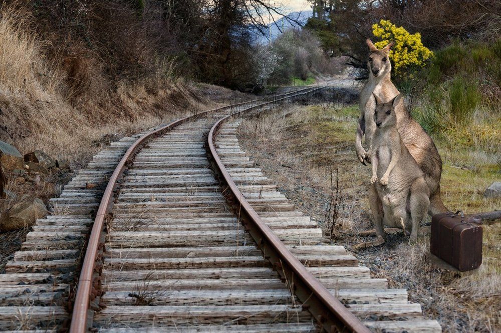 Присядем на дорожку