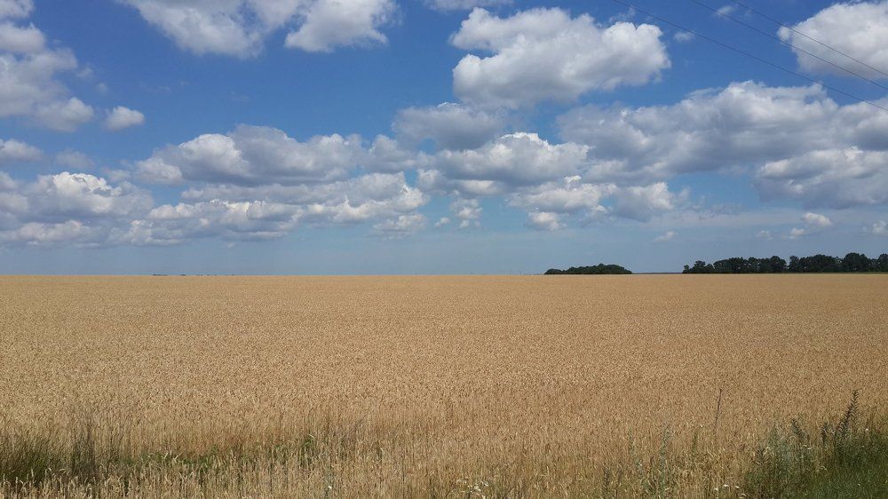 real Ukraine 08.07.18