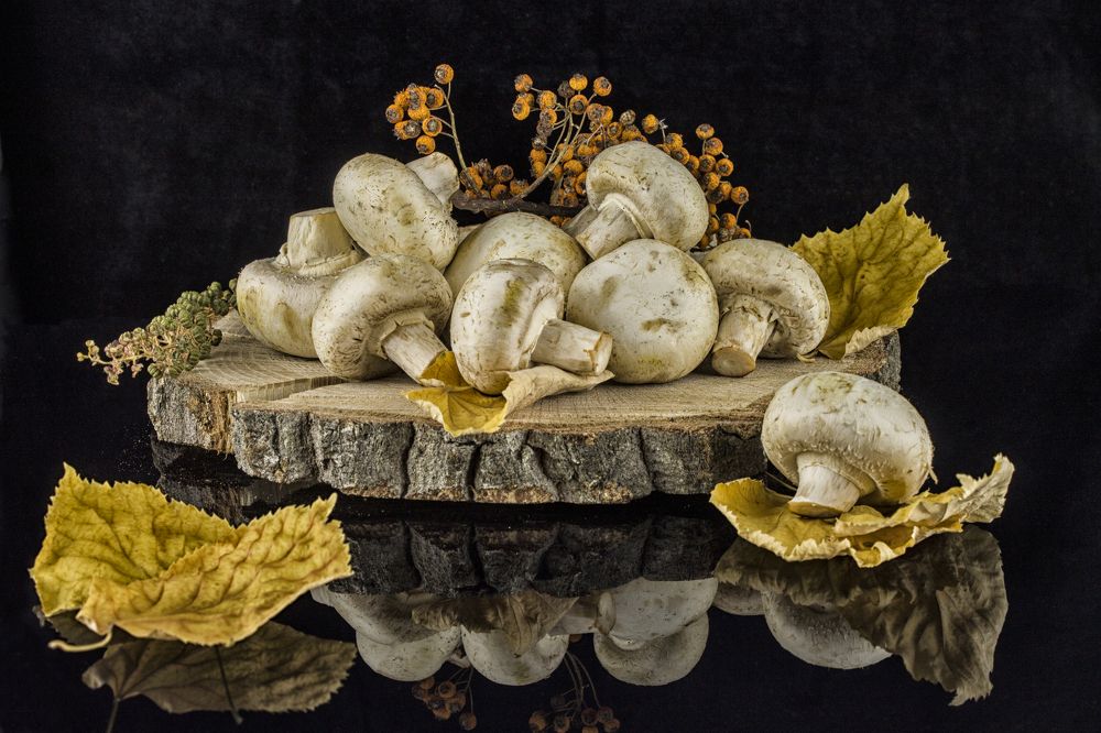 Шампиньоны