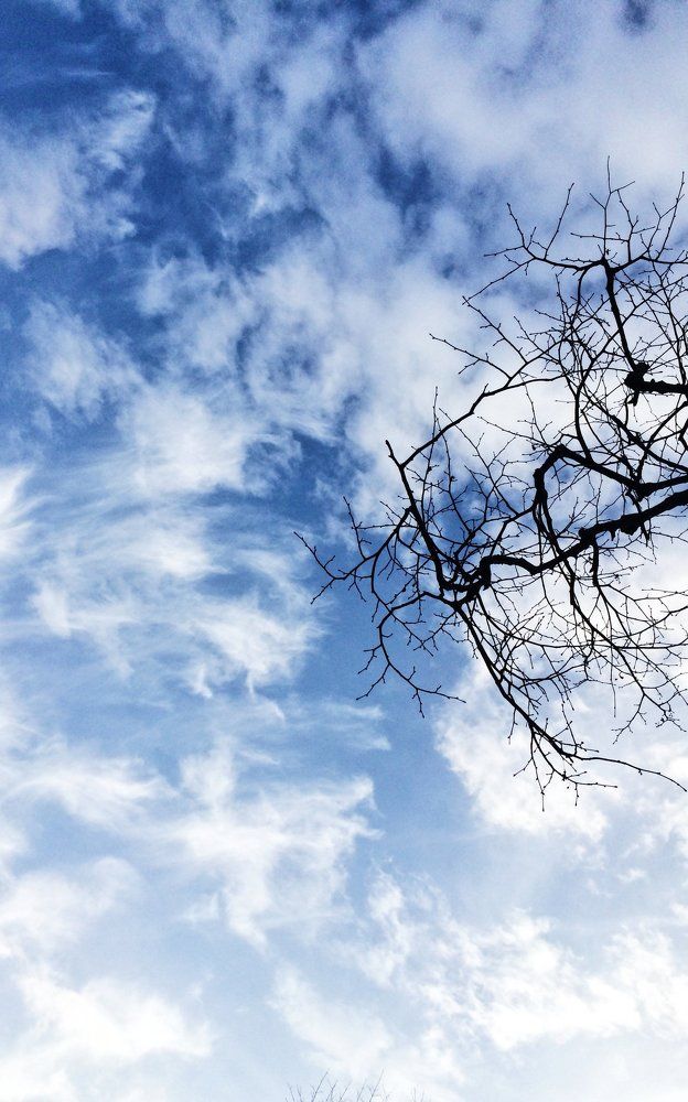 Photograph by Александрова Александра