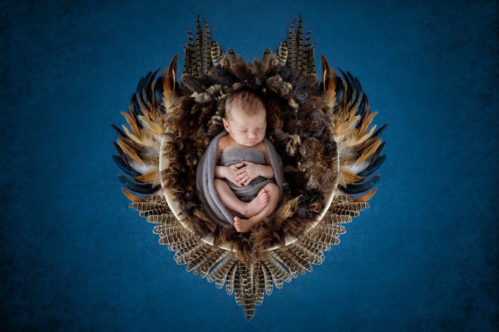 Ясный сокол