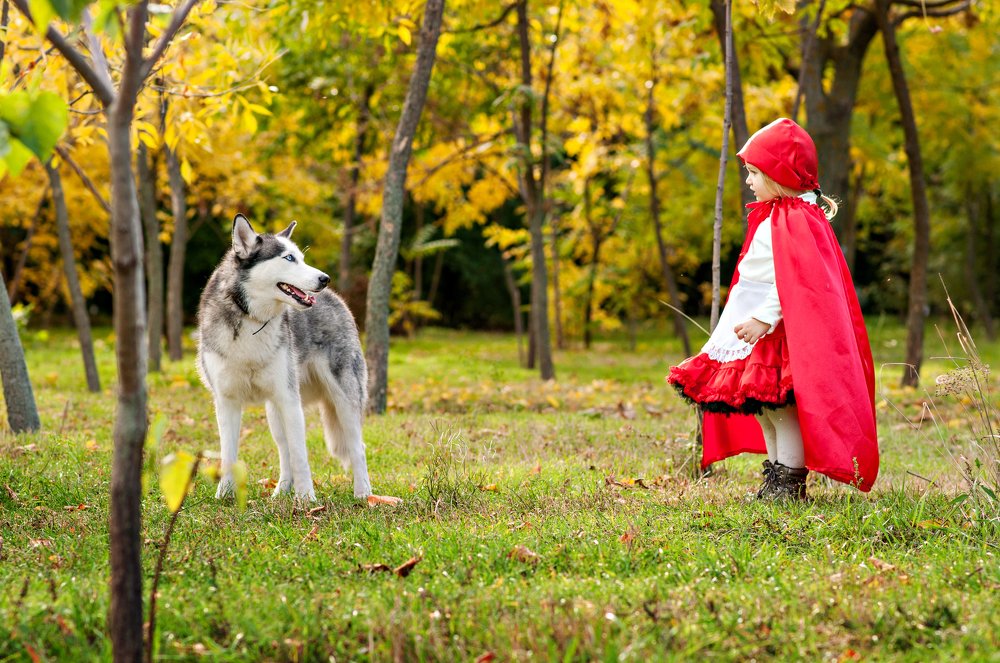 Красная Шапочка