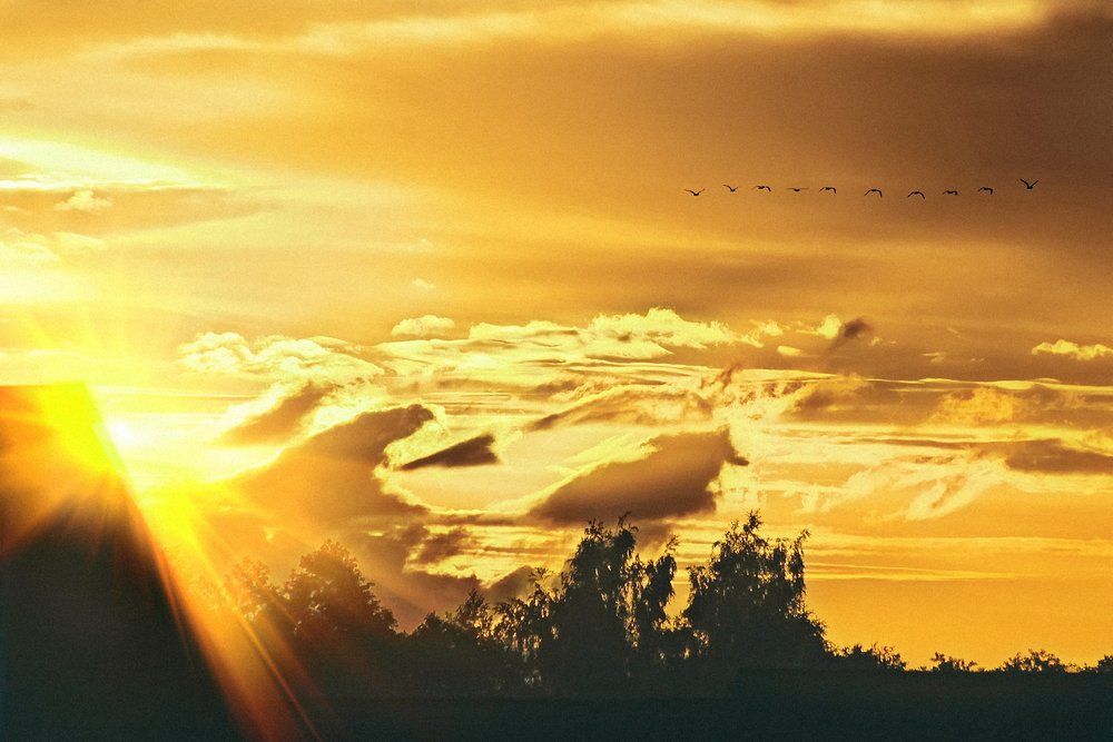 Photograph by Кириленко Александр