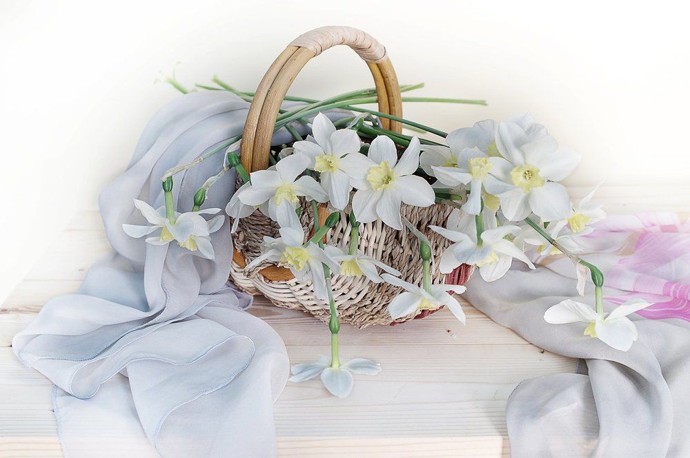 Нежность весны