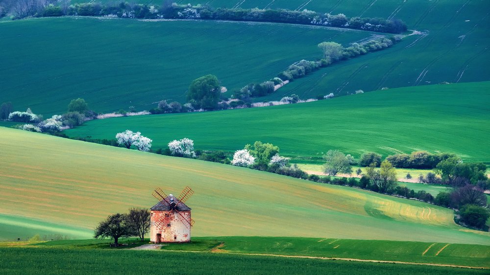 Сельское весеннее утро