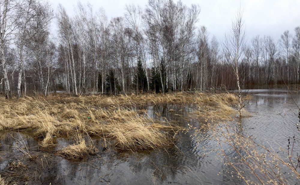 Фотография автора Степин Геннадий