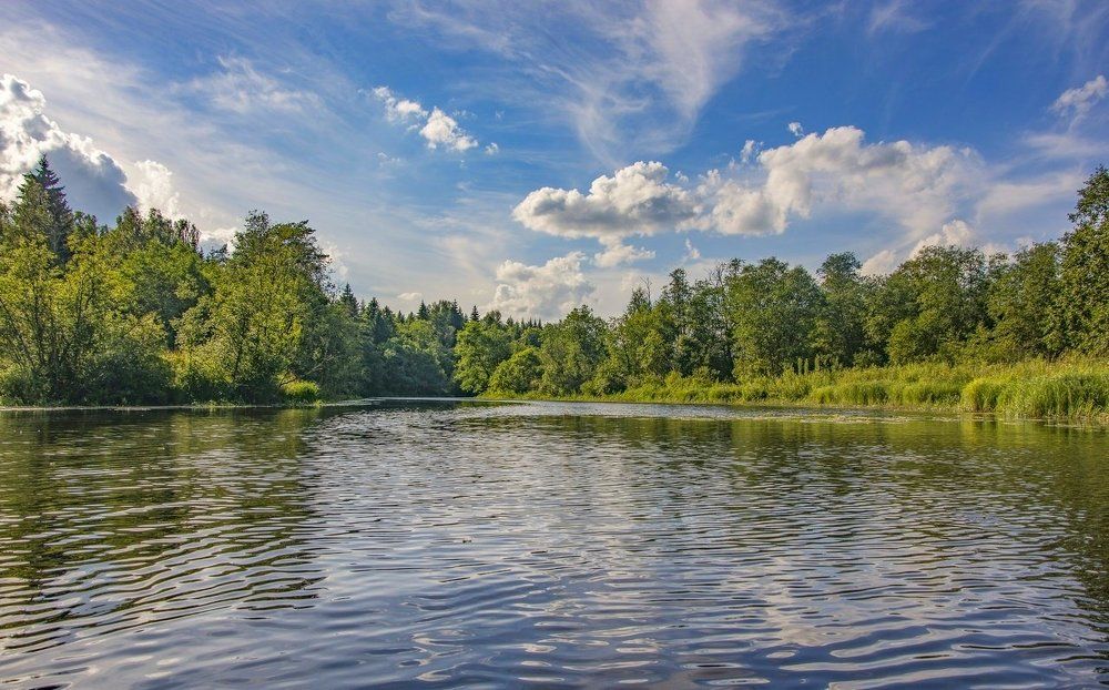 По середине Орши
